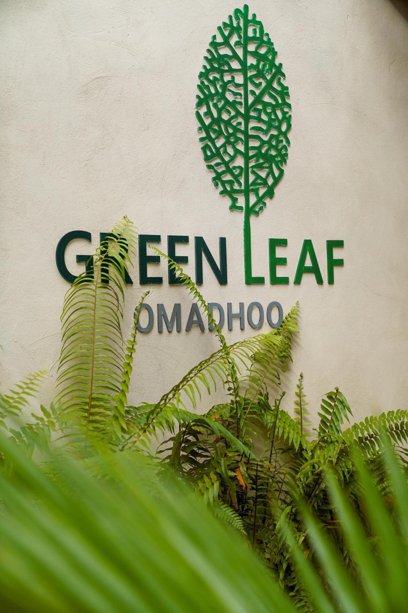 Green Leaf Guest House - Omadhoo Bagian luar foto